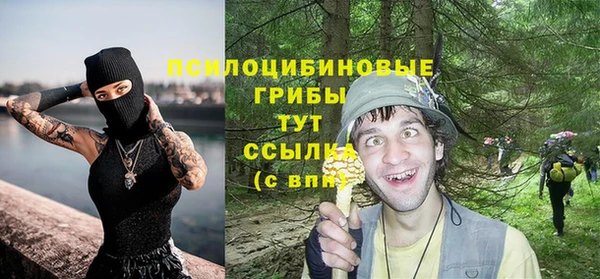 мяу мяу мука Алексин