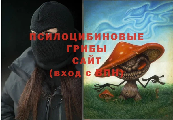 СК Алзамай