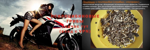 прущий лед Алексеевка