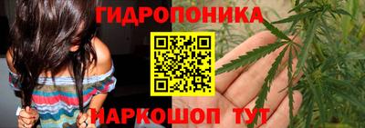 стафф Кимры