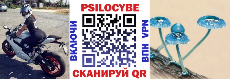 как найти закладки  Кулебаки  Псилоцибиновые грибы Psilocybe 