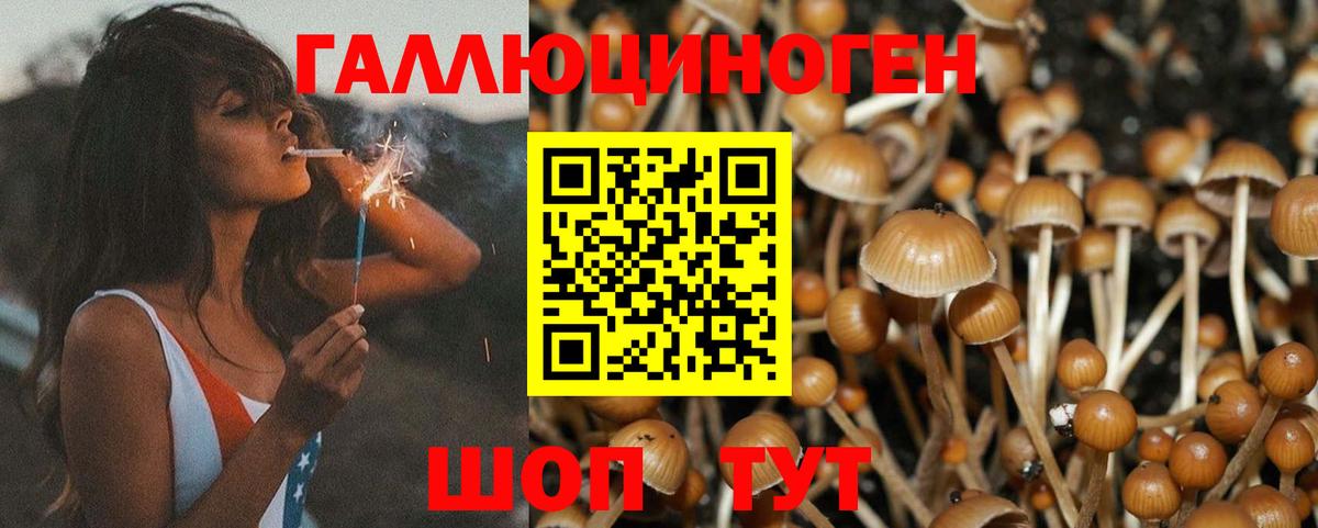 Галлюциногенные грибы прущие грибы  Вход с VPN  Кулебаки 