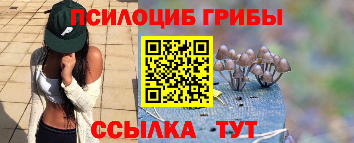 Псилоцибиновые грибы ЛСД Кулебаки